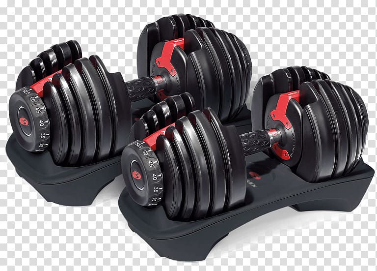 Dumbbell Bowflex Bench Exercise equipment Weight training, dumbbell transparent background PNG clipart