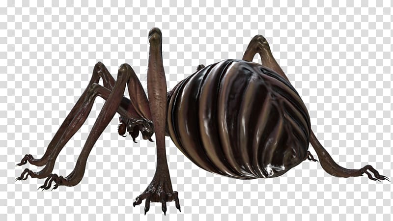 Spider ZBrush Insect 720p, colossus of rhodes transparent background PNG clipart