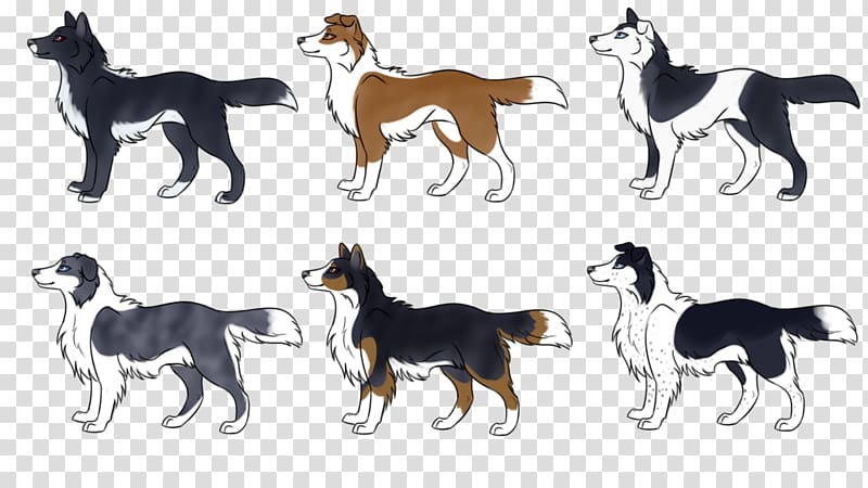 Dog breed Border Collie Old English Sheepdog Puppy Saluki, sheep breeders transparent background PNG clipart