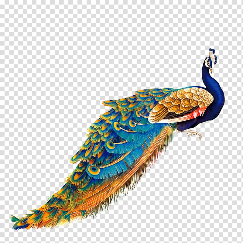 blue and brown peacock, Bird Peafowl Painting, Color Golden Peacock transparent background PNG clipart
