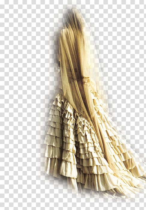 Wedding dress Bride Veil, Charles Lutwidge Dodgson transparent background PNG clipart