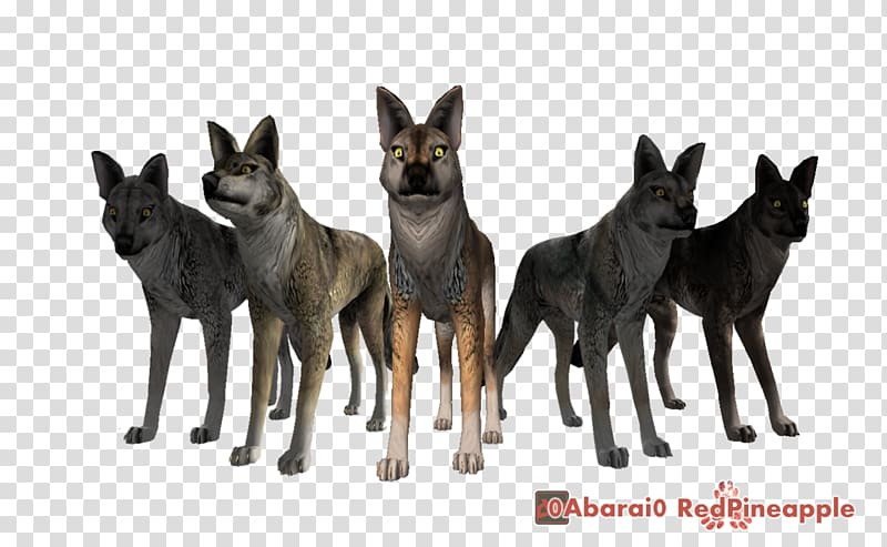 WolfQuest Gray wolf Video game World of Warcraft, do the old texture transparent background PNG clipart