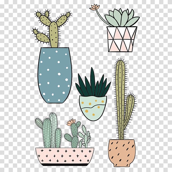 Cactaceae Abziehtattoo Succulent plant Child, child transparent background PNG clipart