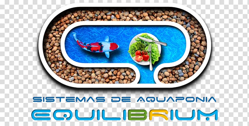 Aquaponics Agroecology Agribusiness Siphon Product, Human Feferi Peixes transparent background PNG clipart