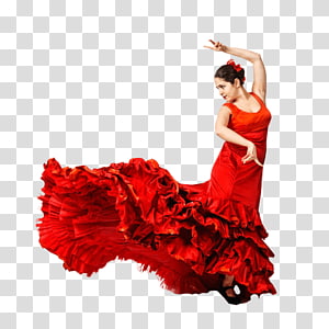 Flamenco Transparent Background Png Cliparts Free Download Hiclipart