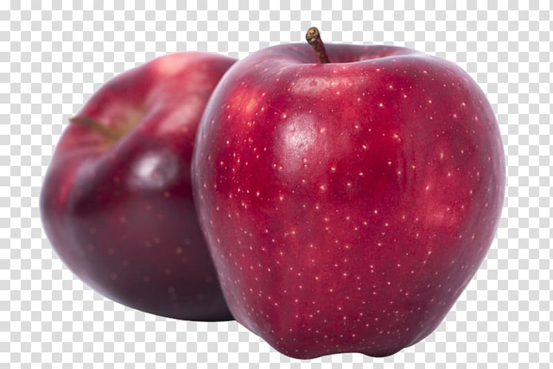 McIntosh Red Delicious Apple, Snake transparent background PNG clipart