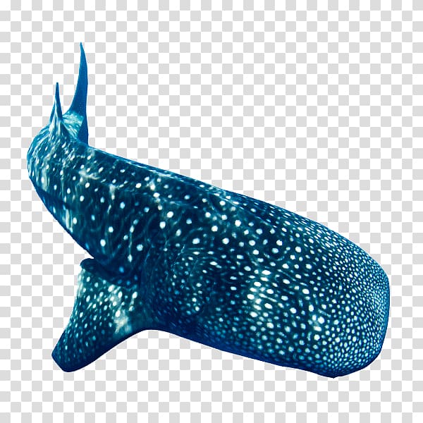 Whale shark Donsol Scuba diving Cetacea, shark transparent background PNG clipart