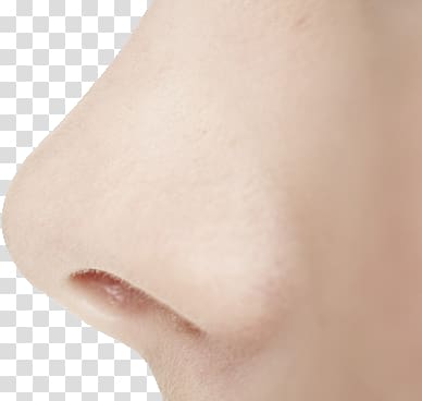 Nose transparent background PNG clipart