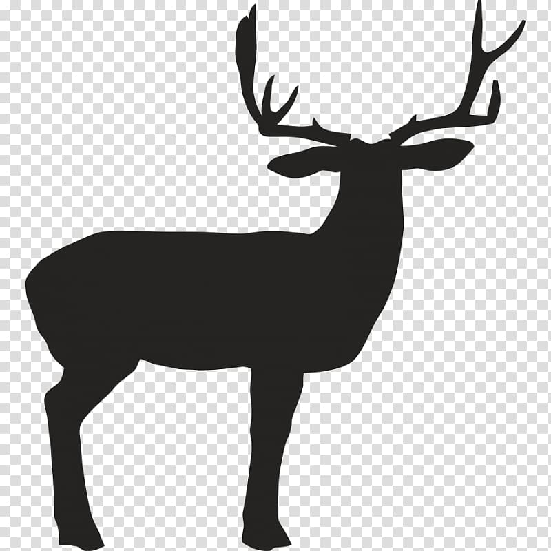 Reindeer White-tailed deer Elk Antler, deer transparent background PNG clipart