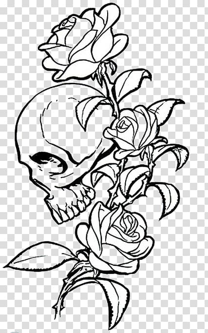 Human skull symbolism Rose Calavera Drawing, skull transparent background PNG clipart