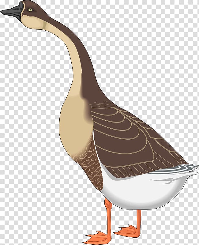 Canada Goose Mother Goose Nene Duck, Free Bird transparent background PNG clipart