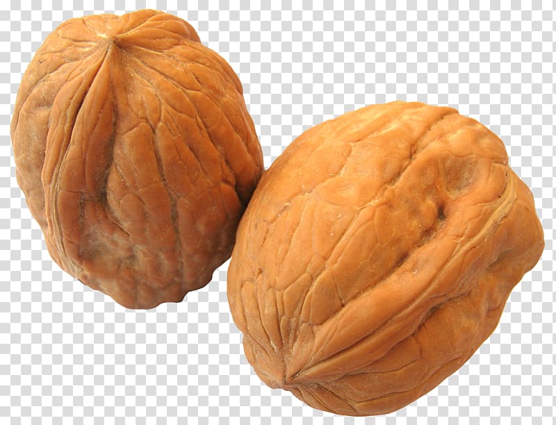 English walnut, nuez transparent background PNG clipart