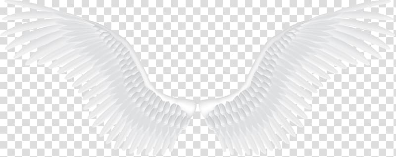 white wings illustration, Black and white Structure Pattern, White angel wings transparent background PNG clipart