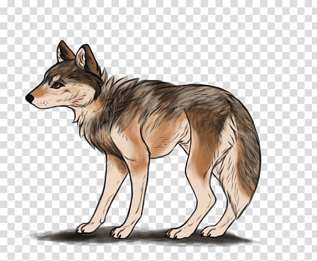 Jackal Red fox Coyote Red Wolf by Jennifer Ashley, Cris Dukehart (narrator) (9781515958642), merak transparent background PNG clipart