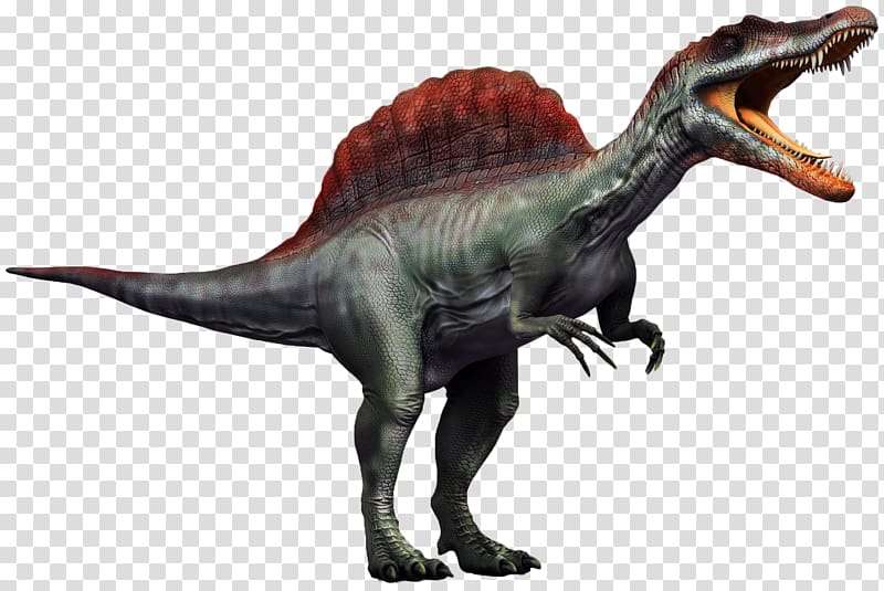 Carnivores 2 Spinosaurus Tyrannosaurus Dilophosaurus Yangchuanosaurus, t rex transparent background PNG clipart