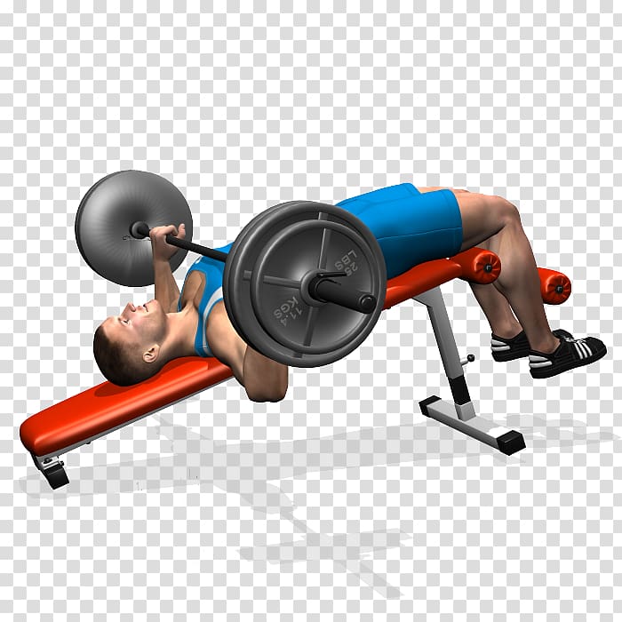 Weight training Bench press Barbell Fly, barbell transparent background PNG clipart