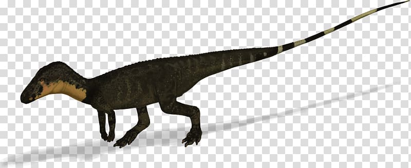 Velociraptor Poposaurus Tyrannosaurus Triassic Dinosaur, dinosaur transparent background PNG clipart