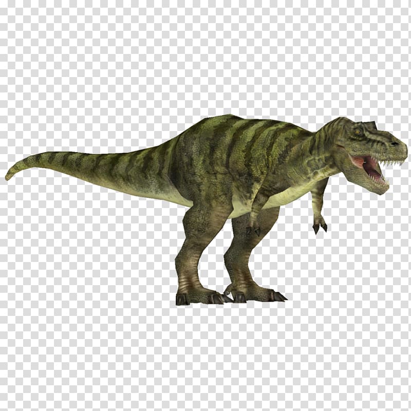 Tyrannosaurus Velociraptor Rajasaurus Achelousaurus Dinosaur, Tyrannosaurus transparent background PNG clipart