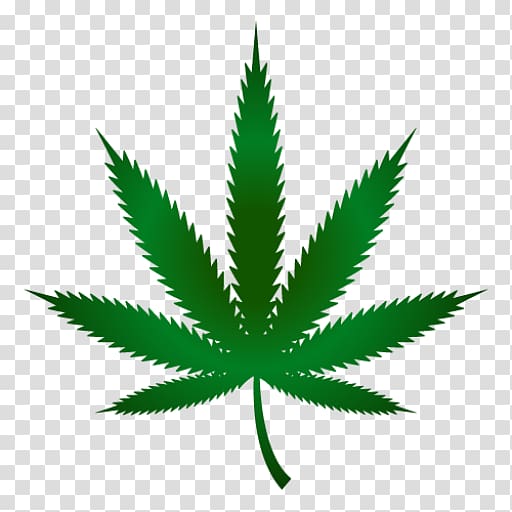 Cannabis ruderalis Cannabis cultivation Leaf Marijuana, cannabis transparent background PNG clipart