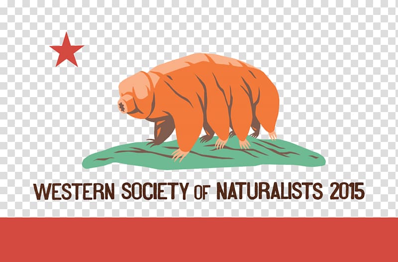 Flag of California Refugio oil spill California grizzly bear, others transparent background PNG clipart