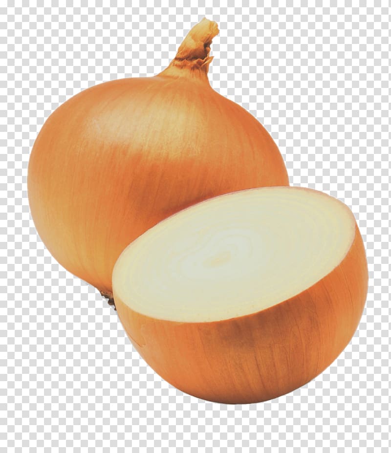 Shallot Sweet onion Yellow onion Red onion White onion, onion transparent background PNG clipart