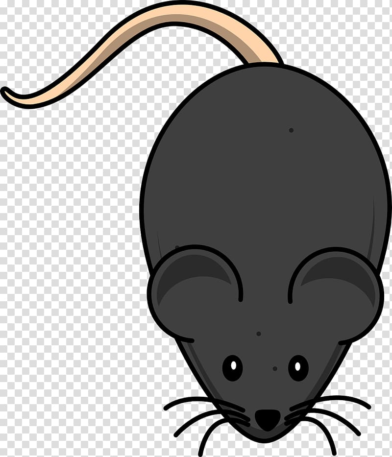 Mouse Laboratory rat , mouse transparent background PNG clipart