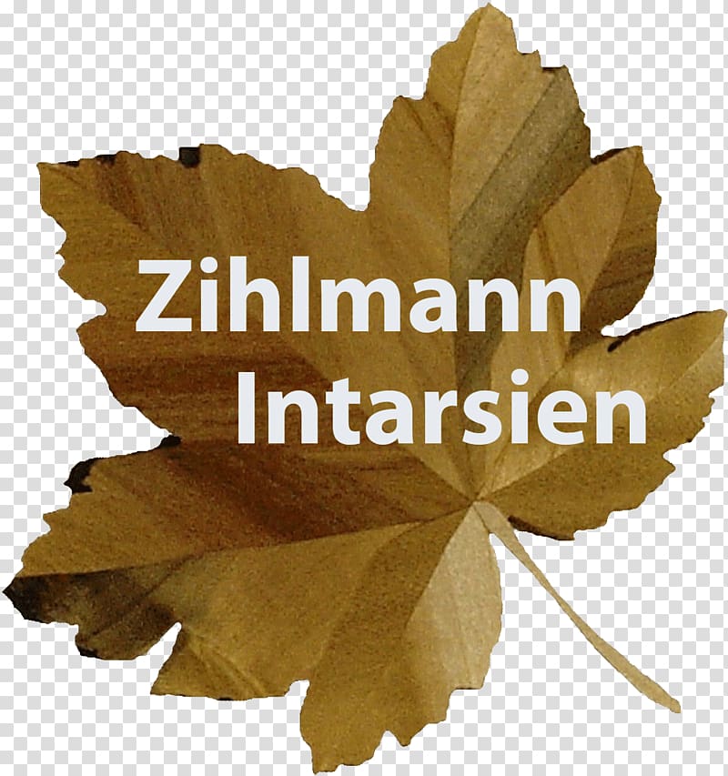 Intarsia Logo Art Font, Switzerland transparent background PNG clipart