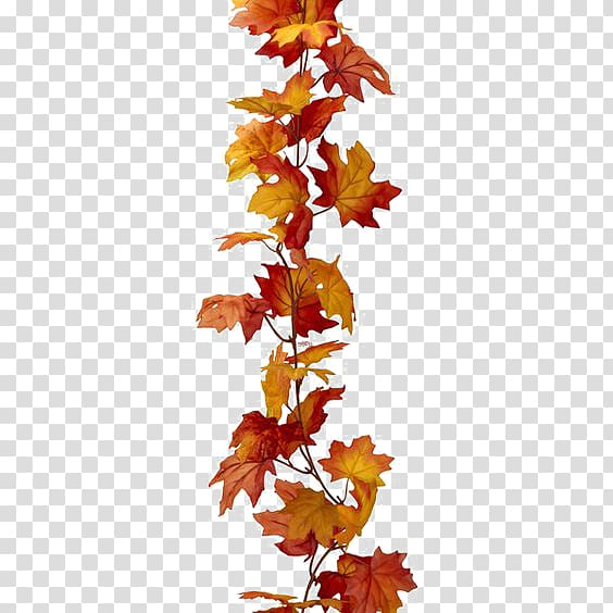 Maple leaf Autumn leaf color, Red maple leaf transparent background PNG clipart