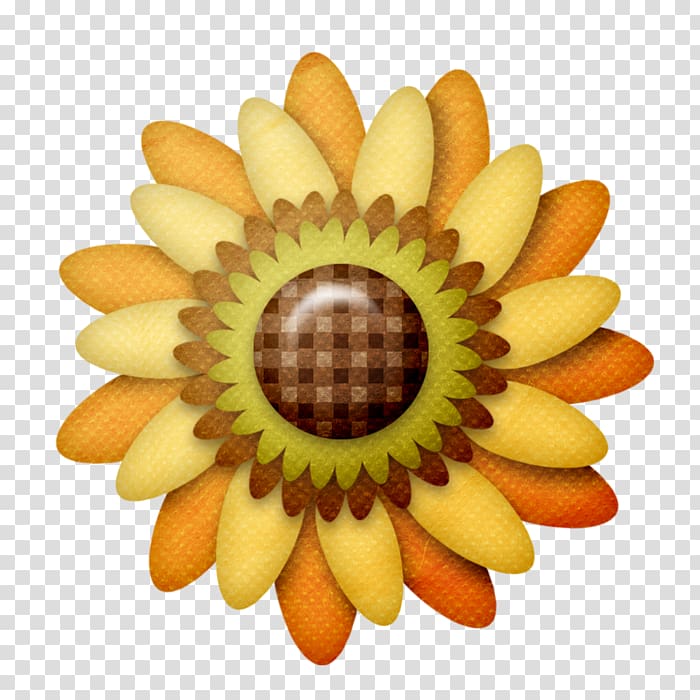 sunflower m Close-up, autum flowers transparent background PNG clipart