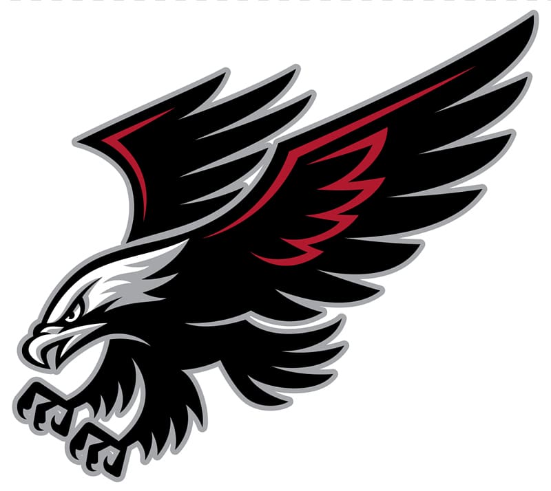 Williams Field High School Student Campo Verde High School Higley Unified School District Middle school, Blackhawks Logo transparent background PNG clipart