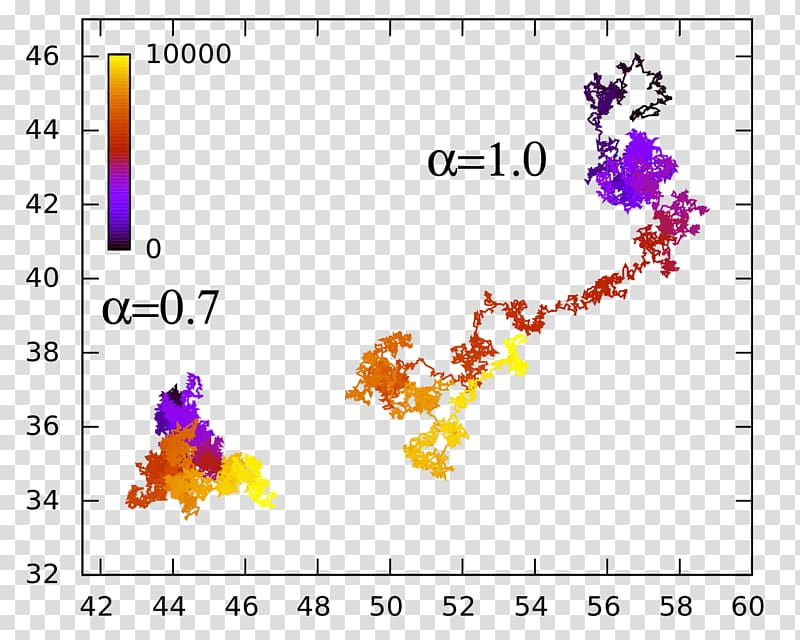 Anomalous diffusion Brownian motion Random walk Statistical physics, diffusion transparent background PNG clipart