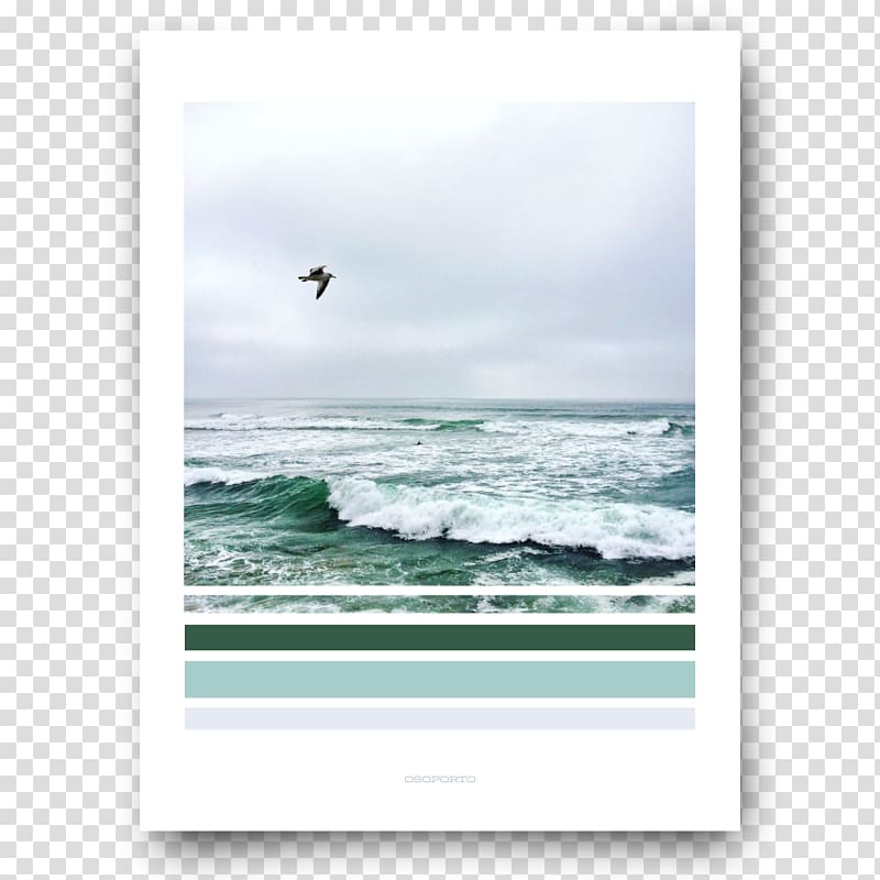 Sea Shore Poster Frames White House, sea green color transparent background PNG clipart