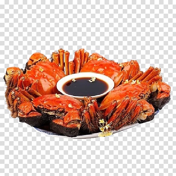 Yangcheng Lake Chilli crab Taobao Chinese mitten crab, Crabs transparent background PNG clipart