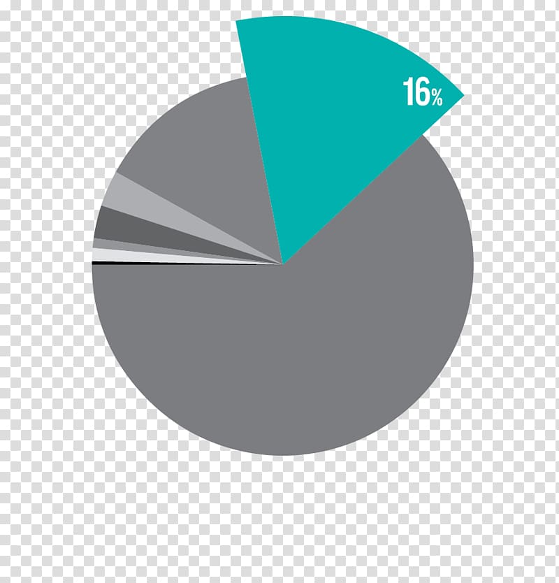 Pie chart Angle Logo, Urea Cycle Disorder transparent background PNG clipart