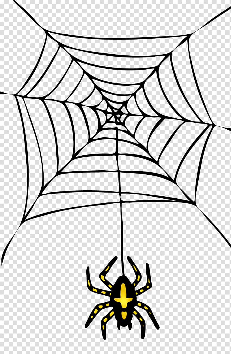 Spider Halloween , Halloween Spider transparent background PNG clipart