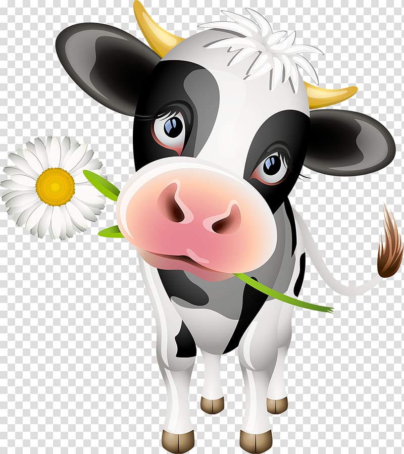 cow with white daisy flower , Jersey cattle Holstein Friesian cattle Calf Dairy cattle, cow transparent background PNG clipart