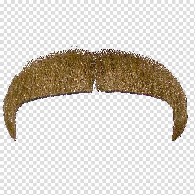 Moustache Beard, moustache transparent background PNG clipart