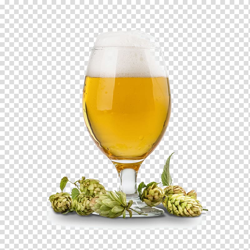 Grog Beer Glasses White wine, beer hops transparent background PNG clipart