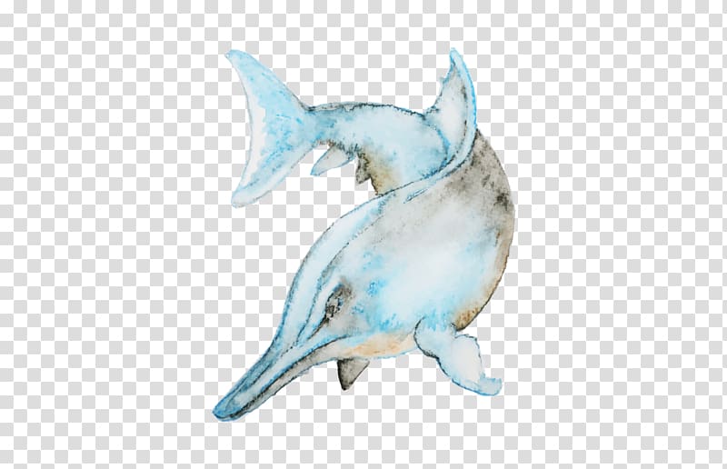 Dolphin Watercolor painting, blue dolphin transparent background PNG clipart