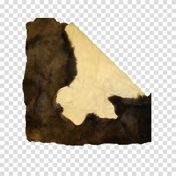 American bison Montrail Plains hide painting Fur, buffalo skull transparent background PNG clipart