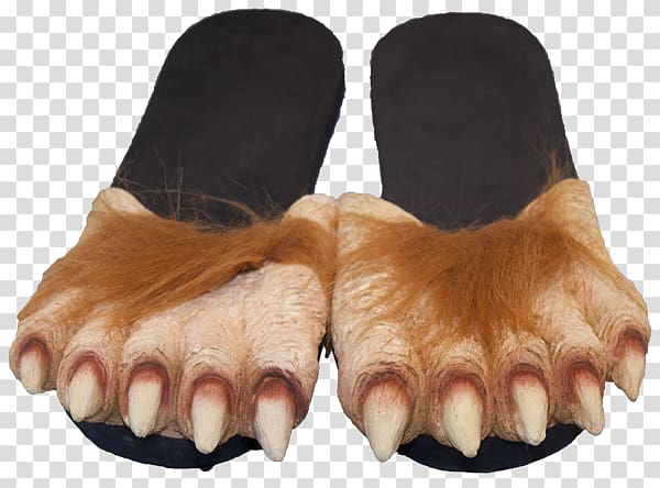 Slipper Foot Werewolf Gray wolf Big Bad Wolf, ALL PRODUCT transparent background PNG clipart