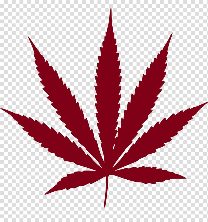 Cannabis ruderalis Leaf Medical cannabis , marijuana transparent background PNG clipart