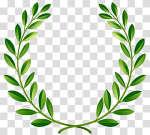 Leafy Crest Clip Art. Green Laurel Crest and Leaves Clipart. Crest