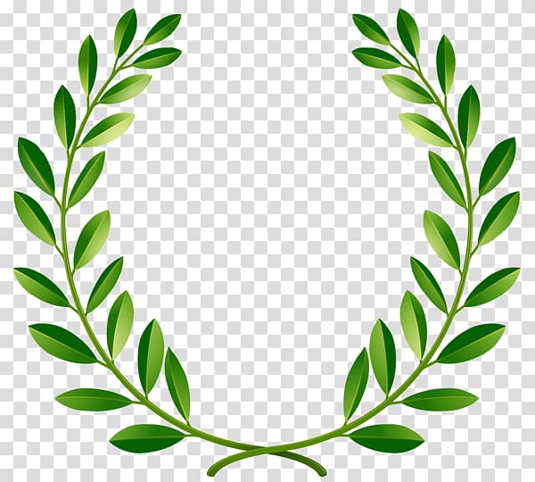 green leaf illustration, Bay Laurel Laurel wreath , Greenpeace olive branch transparent background PNG clipart