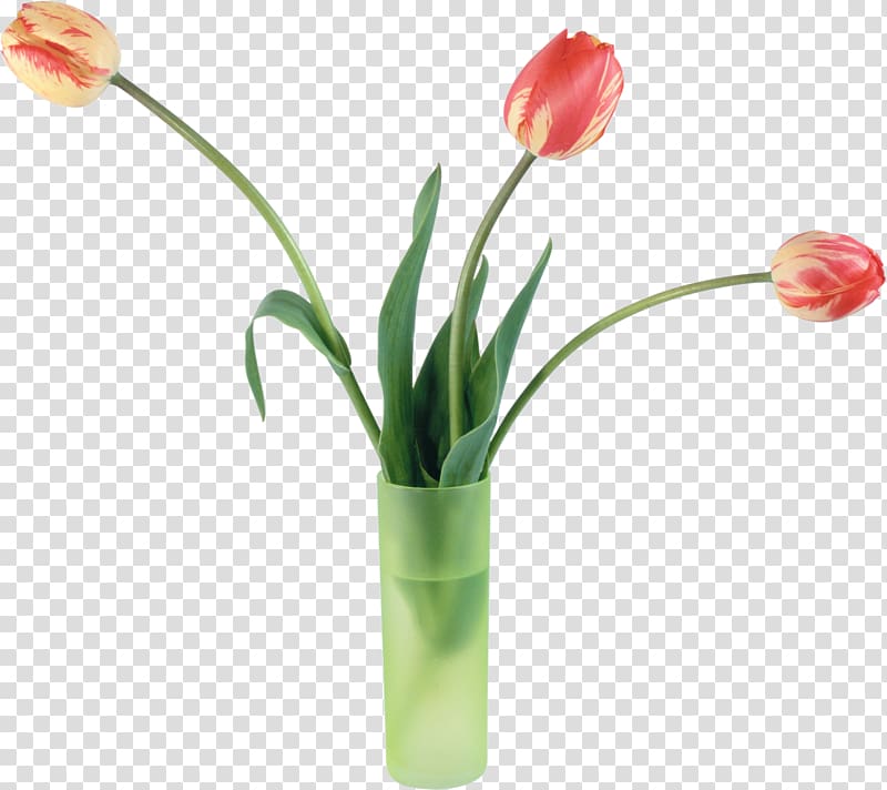 Tulip Flower bouquet Vase, vase transparent background PNG clipart