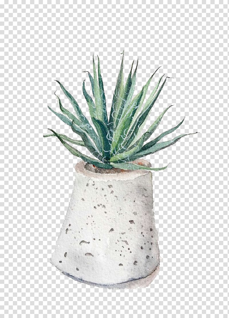 Aloe vera Euclidean Gratis, Aloe Potted pull creative hand-painted Free transparent background PNG clipart