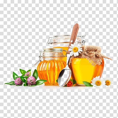 Beekeeping Honey bee Food, bee transparent background PNG clipart