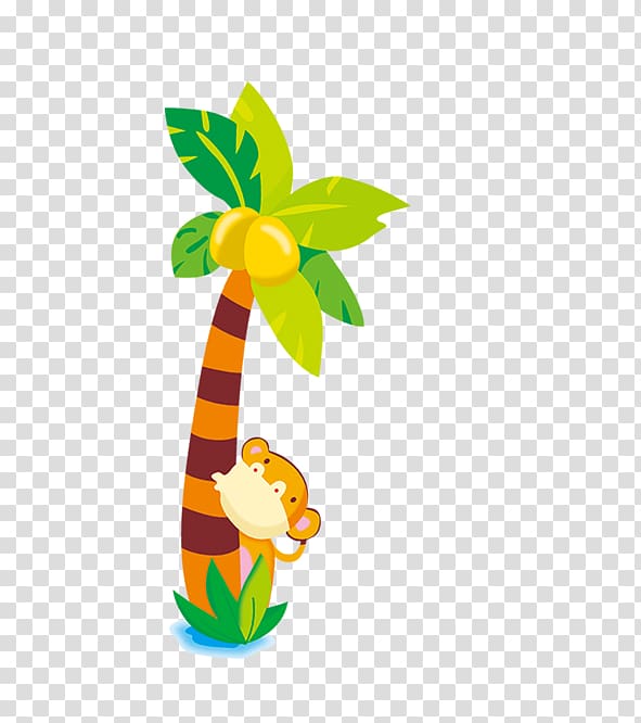 Cartoon Coconut Drawing, Cartoon coconut trees transparent background PNG clipart