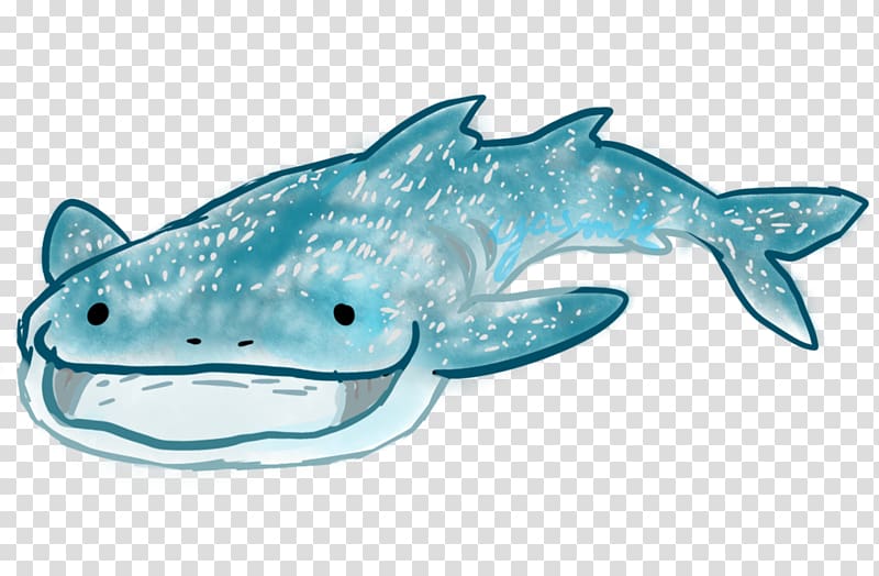 Tiger shark Squaliform sharks Dolphin Requiem sharks, dolphin transparent background PNG clipart