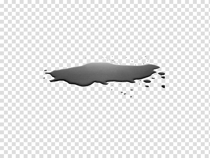 Sea lion Marine mammal Pinniped Black and white, puddle transparent background PNG clipart
